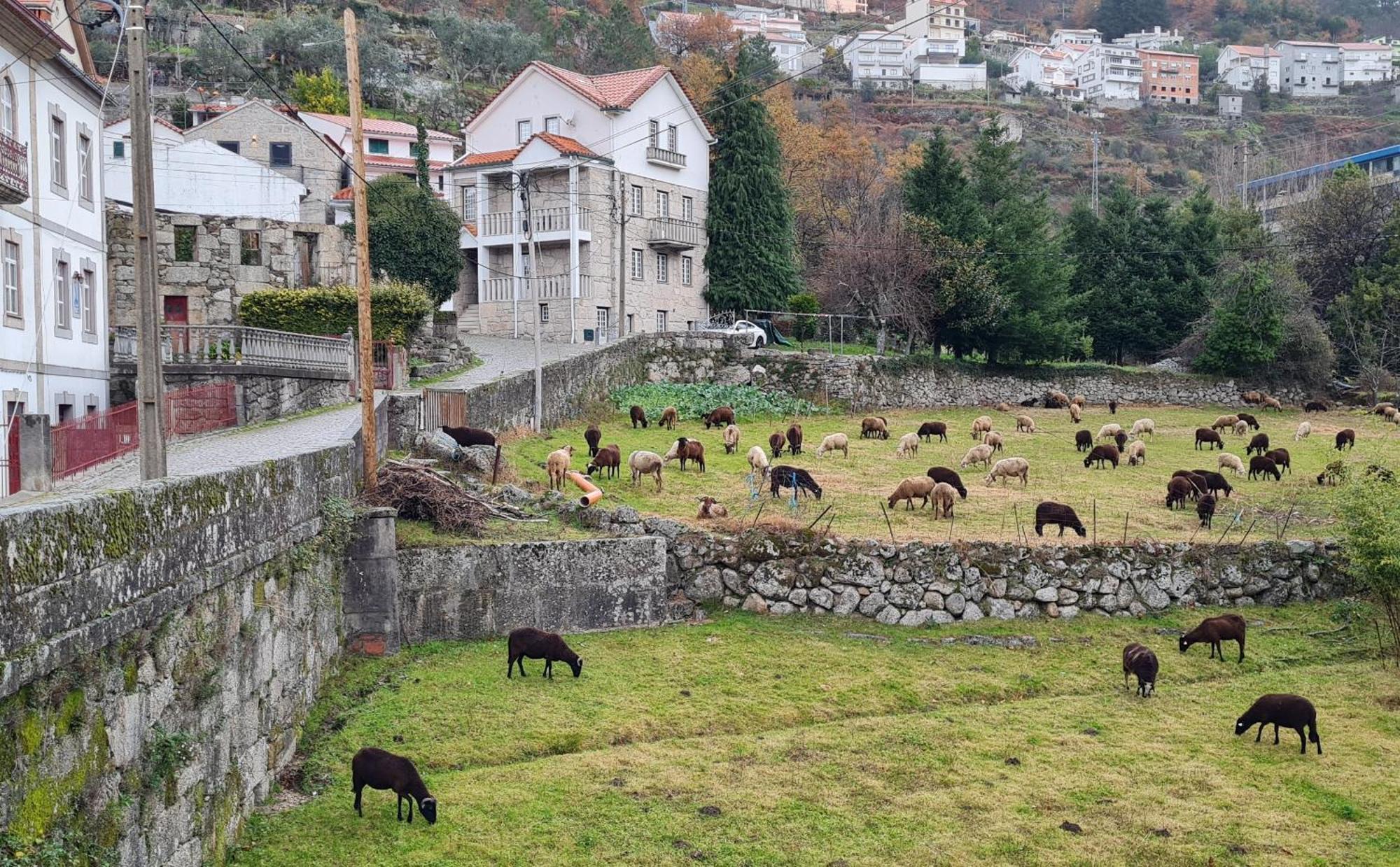 Casa Da Cantareira لوريغا المظهر الخارجي الصورة